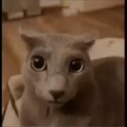 Eek But Every Eek Is Replaced With Ahh