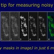 Measuring Noisy Images Using Binary Masks In ImageJ