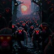 Ghost Monkey Shorts Trending Usa Youtubeshorts