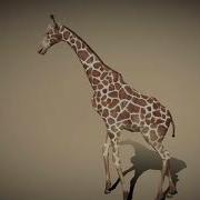Animanimals Giraffe Animal TV