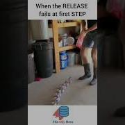 Failed RELEASE DATA Sql Datascience Dataengineering Funny Programming Plan