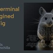 Is This Tool What Your Terminal Has Been Waiting For
