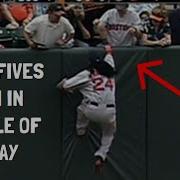 MLB Funniest Fan Interactions