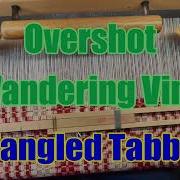 Overshot Wandering Vine 2 Tangled Tabby