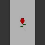 Impress Your Crush With Coding Shorts Shortvideo Programming Coding Whatsappstatus Cs Code