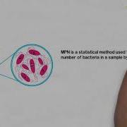 Most Probable Number How To Perform The Test For Microbial Analysis