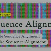 Bioinformatics Sequence Alignment Pairwise And Multiple Sequence Alignment