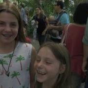 The Rare And Stinky Corpse Flower Blooms In Brooklyn