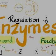 Feedforward Feedback Mechanisms Positive Negative Feedback Regulation Of Enzymes Biochem