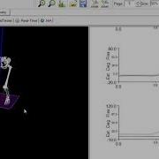 Visual3D Biomechanics Motion Analysis