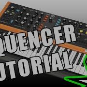 Behringer Poly D Sequencer Tutorial