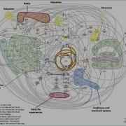 CECAN Webinar The Human Learning Systems Approach To Managing In Complexity