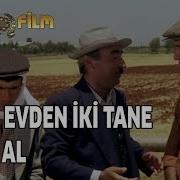 Git Bizim Evden 2 Tane Öküz Al Kibar Feyzo