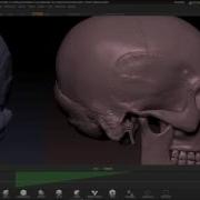 ZBrushCore Paul Gaboury Part 1 Importing Reference Images