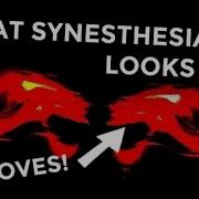 Real Time Synesthesia Simulation Infected Mushroom Fields Of Grey Ft Sasha Grey