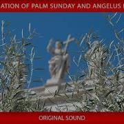 29 March 2026 Celebration Of Palm Sunday Angelus Prayer Pope Leo XIV
