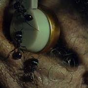 The Weeknd Gasoline Official Music Video