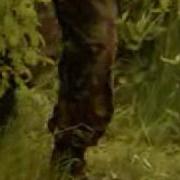 Ultimate Force Ultimate Henno