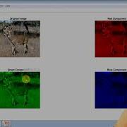 MATLAB Program R G And B Components Of Image Color Image Processing Image Processing