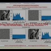 DNA Image Encryption Decryption With Source Code Matlab Project Encryption And Decryption DNA