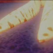 Krill Micro Foot