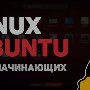 Linux для начинающих Урок 4 Основы командной строки Linux