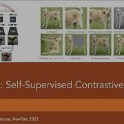 Tutorial 17 Self Supervised Contrastive Learning With SimCLR Part 2
