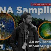 Sampling Water For EDNA A Supertool For Identifying Species In Lakes
