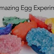 10 Amazing Egg Experiments Steve Spangler Science