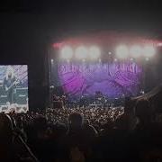 Immolation Obscene Extreme 2024