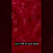 How Much Blood Loss Will Cause Death