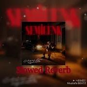 Semicenk Çıkmaz Bir Sokakta Slowed Reverb