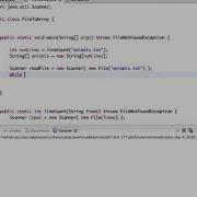 CSCI 161 Reading A File Into An Array