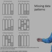 Levels And Patterns Of Missing Data