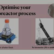 Bioprocess Optimisation From Shake Flask To Bioreactor