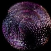 Trapcode Test Pt 1