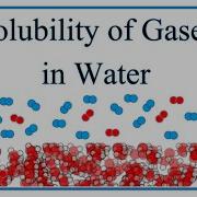 Solubility Of Gases In Water O2 N2 Etc