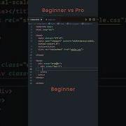 CSS Beginner Vs Pro Developer Csstricks
