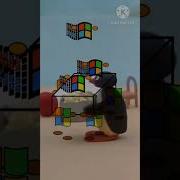 Pingu Noot Noot By Ron Zhang Windows Xp Coffin Dance