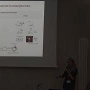 Michaela Asp Spatial Transcriptomics Bridging Histology And RNA Sequencing ITN CONTRA