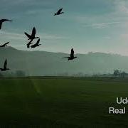 Uddeholm Real Actions