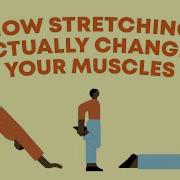 How Stretching Actually Changes Your Muscles Malachy McHugh