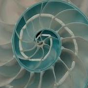 TOOL LATERALUS