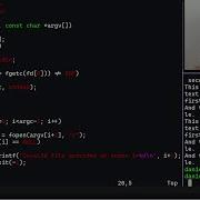 Coding Cat In C From Scratch