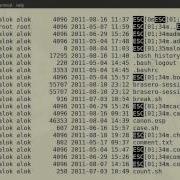 Black White Problem In Red Hat Linux Networknuts