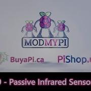 Raspberry Pi Workshop Kit Tutorials 9 Passive Infrared Sensor
