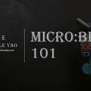Micro Bit 101 專題2 Name Tag 電子名牌