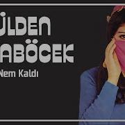 Gülden Karaböcek Nem Kaldı 45 Lik Plak Kayıtları