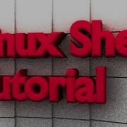 Shell Script Find Lines With Set Number Of Words On Them Linux BASH Tutorial