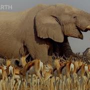 Путешествие по Африке BBC Earth